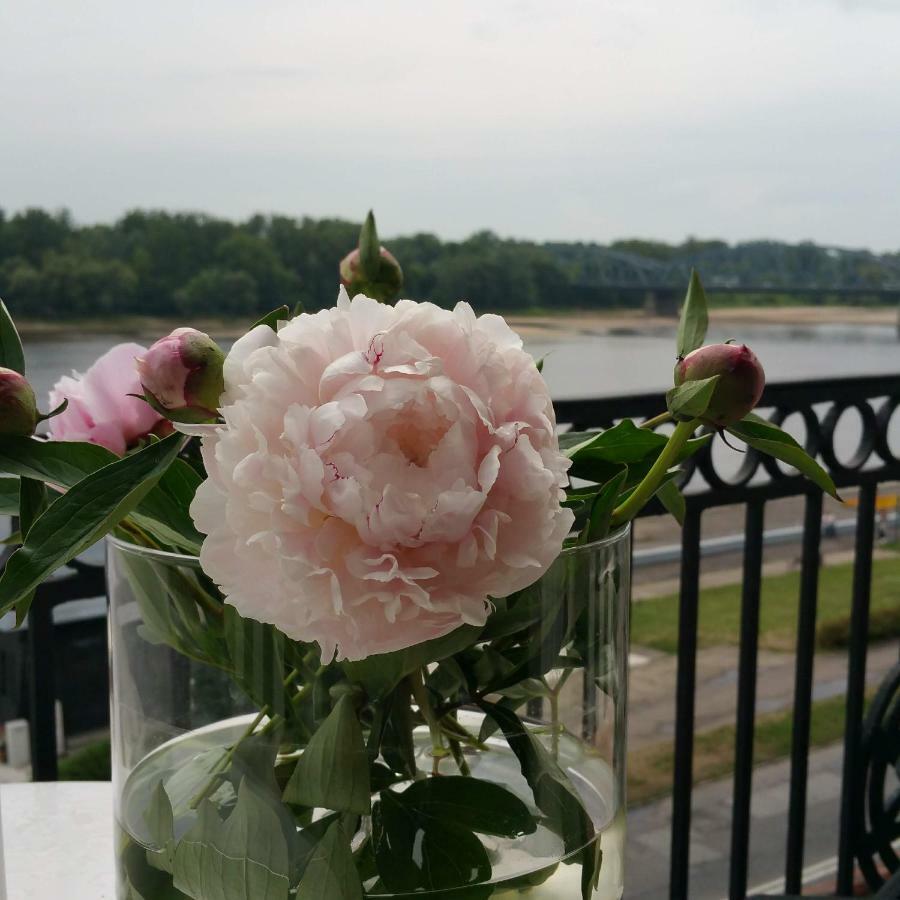 The View * Torun